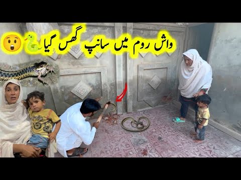 Wash room Main Sanp a giya 🐍😮|pak village family