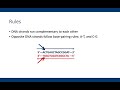 Complementary DNA Sequences Concepts