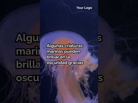 Los secretos fascinantes y poco conocidos del océano que te sorprenderán #ShortsEnEspanol#sabiasque