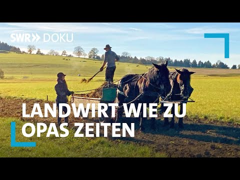 Joachims Experiment - Landwirtschaft wie vor 100 Jahren | SWR Doku