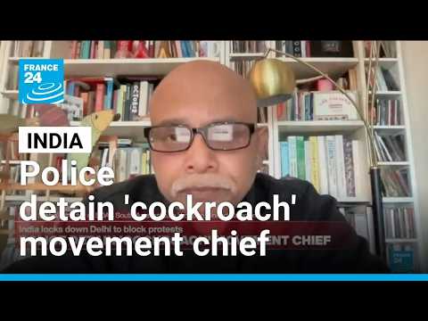 India's 'cockroach' movement: "This is unprecedented" • FRANCE 24 English