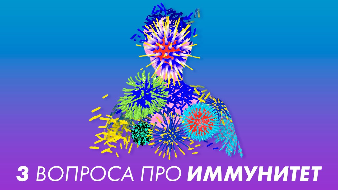 3 вопроса про иммунитет