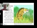 Evolutionary Biology Concepts