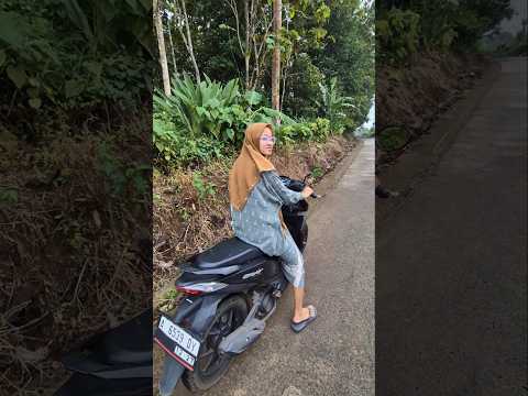 pura pura mogok