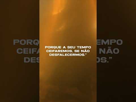 Samuel Sabinno está chegando com 