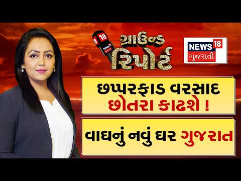 Ground Report | છપ્પરફાડ વરસાદ છોતરા કાઢશે ! । વાઘનું નવું ઘર ગુજરાત|Monsoon|News 18 Gujarati