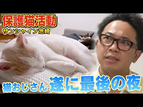 【猫おじさんと最後の夜】風ちゃん、雷ちゃん、佐吉がサンシャイン池崎さん宅で…【保護猫生活】