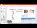 Genetics and Heredity Concepts