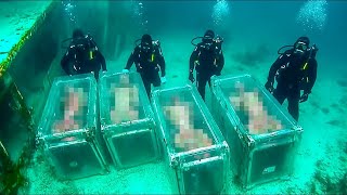 10 Cosas Aterradoras Encontrados En El Fondo Del Mar
