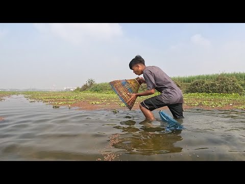 Big Fish Hunting By Polo|Village Fishing Video| #boyfishingvideo