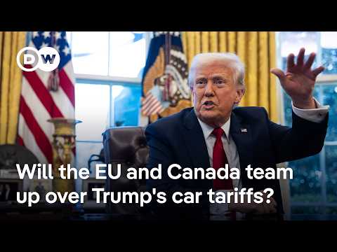 Ex-EU trade chief says Trump's car tariffs will hurt Americans too | DW News
