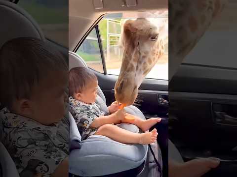 o God The baby 🍼 is safe 😱#shortvideo