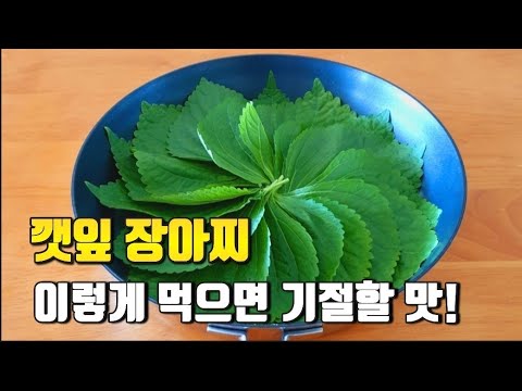 찌지 말고 구우세요~ 처음 먹어본 깻잎요리가 너무 맛있어서 소개해드려요! 밥 2공기 뚝딱하는 들기름 깻잎구이