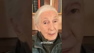 Dr. Jane Goodall's 2024 World Swift Day Message
