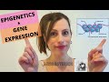 Epigenetics and Gene Regulation Concepts
