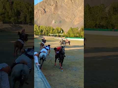Freestyle polo Chitral| #polo #horse #polohorse #horseriding #chitralpolo #horselover #polomatch