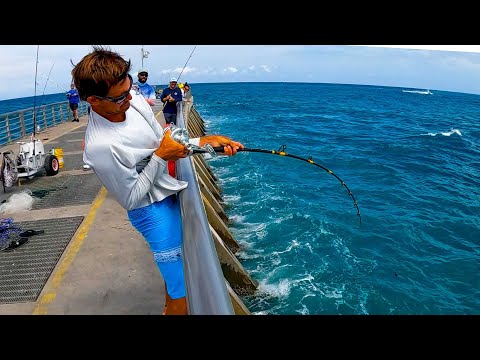 2 Days Trying to Catch this Gnarly Jetty Fish