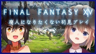 [LIVE] MMOは用法用量を守って初見プレイ【FF14】