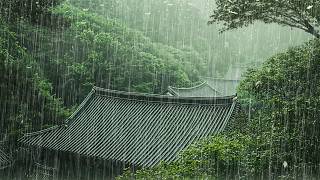잠잘오는 숲속의 빗소리 🌧️ 여유로운 자연의 소리, 불면증과 이명개선, 빠른 숙면을 위한 최고의 백색소음 ASMR