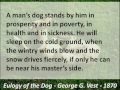 Loyalty and Love in Dogs