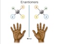 Biological Macromolecules and Their Functions
