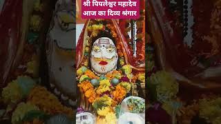 श्री पिपलेश्वर महादेव आज का दिव्य श्रंगार दर्शन
