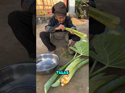 MENGOLAH DAUN TALAS MENJADI MAKANAN