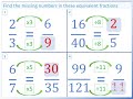 Understanding Fractions and Ratios