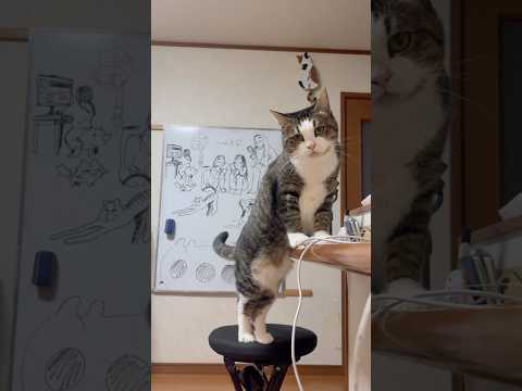 乗ったらアカンで