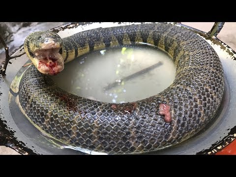 Yendiğine İNANAMAYACAĞINIZ 10 YİYECEK, GERÇEKTENDE ÇOK KÖTÜ