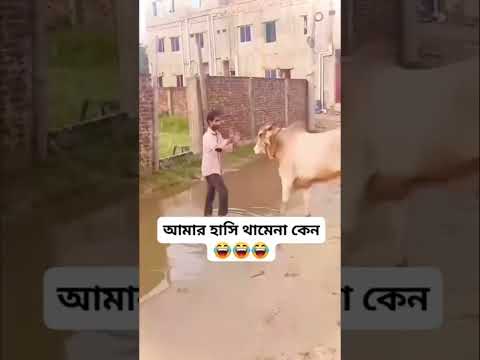 #foryou #funny #vairalvideo #fannyvideo #fyp #video
