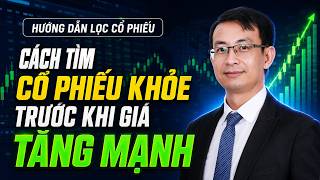HƯỚNG DẪN LỌC CỔ PHIẾU: TÌM NHANH CỔ PHIẾU KHỎE TRƯỚC KHI DÒNG TIỀN BÙNG NỔ