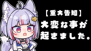 〖 #重大告知 〗大変な事が起きました。〖 #vtuber┊#雪尾紺 〗