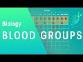 비디오 튜토리얼 퀴즈