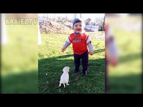 FUNNY BABY Meeting Cute PUPPY for the first time