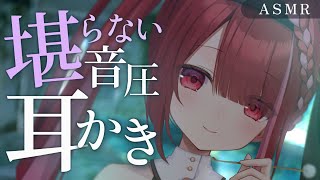 【ASMR/3Dio】心地いい音圧が耳壁に届くカリカリ耳かき👂ぐっすり眠れる耳掃除。睡眠┆囁き┆ 耳垢┆Earcleaning┆Whispe