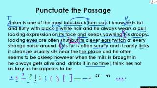 Punctuating a Passage Part-2