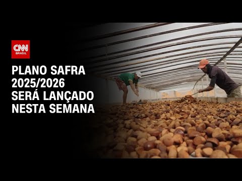 ​Plano Safra 2025/2026 será divulgado nesta semana | CNN NOVO DIA