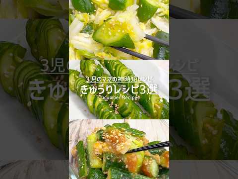 【保存版】きゅうりレシピ3選 #shorts
