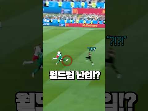 월드컵에서 난입해 골을 넣어버린 선수의 최후