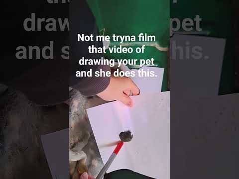 #guineapig #piggie #guineapighome #drawing #funny funn#cutebaby #prettylittlebaby