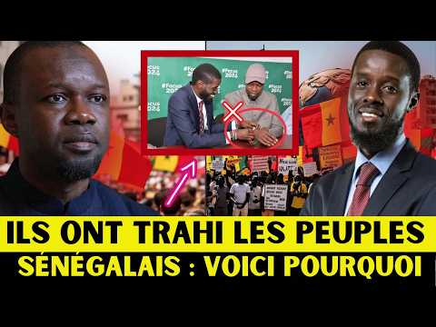 La politique d'Ousmane Sonko et de Bassirou Diomaye Faye a échoué. Voici pourquoi...