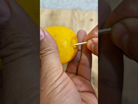 لن تقوم بتقطيع اليمون بهذه الطريقة بعد اليوم #ابتكار #diy #فكرتين #woodworking #amazing