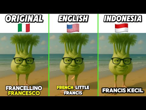 Francescoo..Francescoo…. Translate