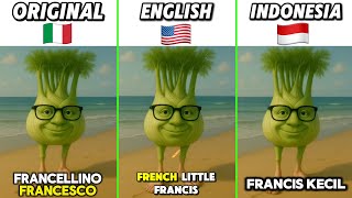 Francescoo..Francescoo…. Translate