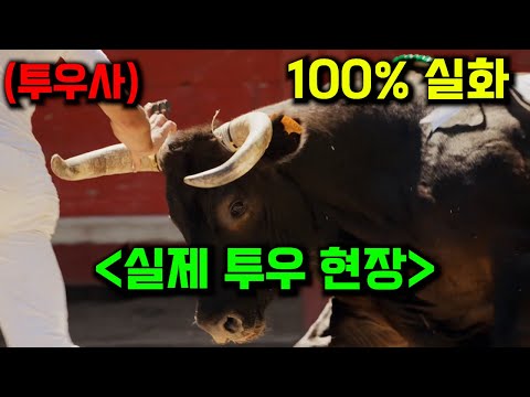 와...미쳤다..역대급 충격 이게 실화라고??? EBS에서 작정하고 만든 100% 실화 다큐멘터리