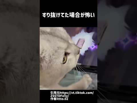 これは猫の手も借りたくなる #shorts #原神 #genshinimpact #funny #雷電将軍