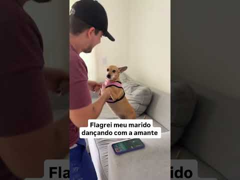Não entendi essa música 🤔🤔 #shortsviral #humor #cachorro #pets