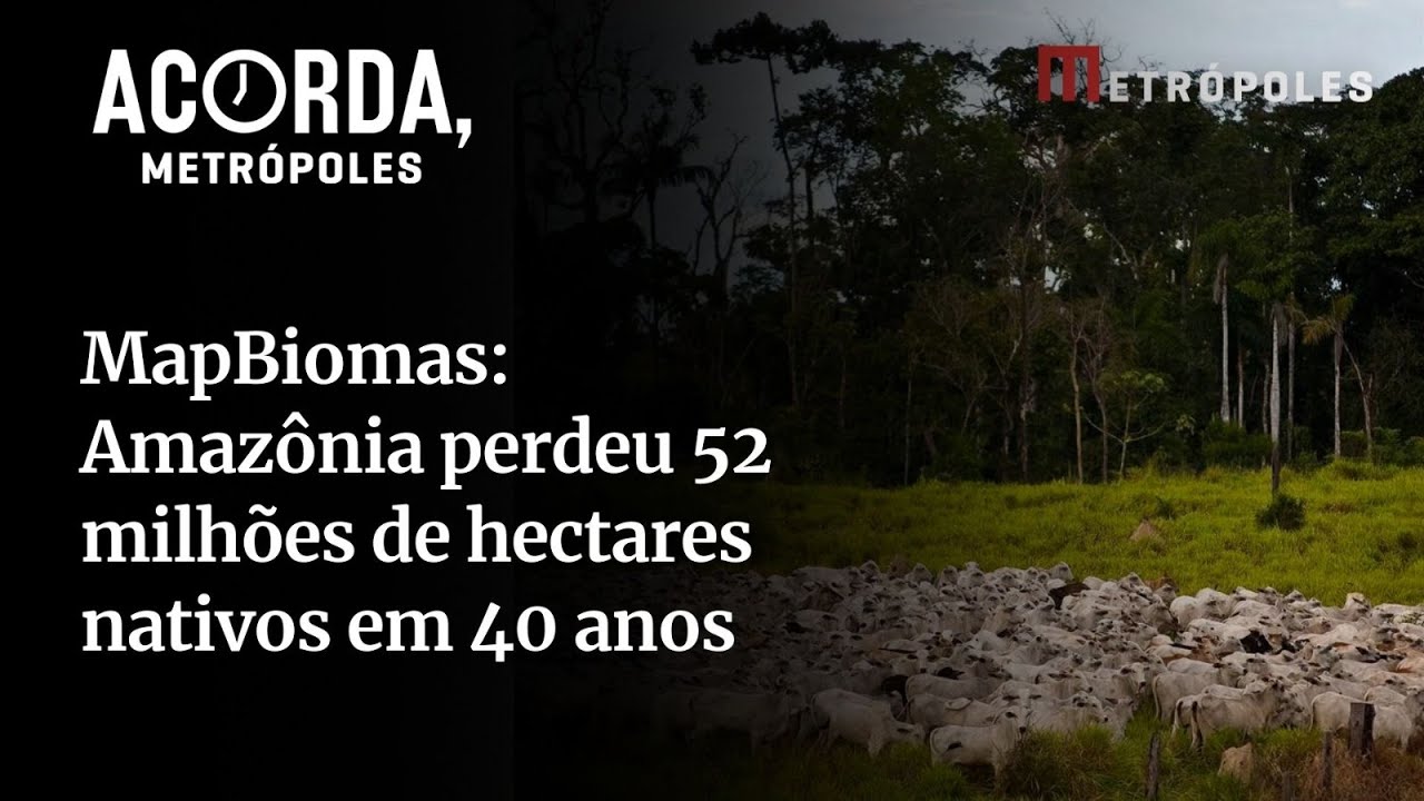 MapBiomas Amazônia perdeu 52 milhões de hectares nativos em 40 anos