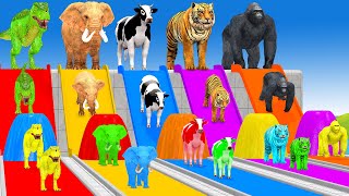 Paint Animals Duck,Tiger,Cow,Lion,Buffalo,Gorilla,Elephant,Dinosaur Fountain Crossing Animal Game Ne